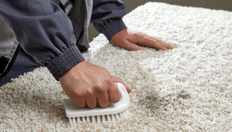 Professional Rug Cleaning Safety Beach
