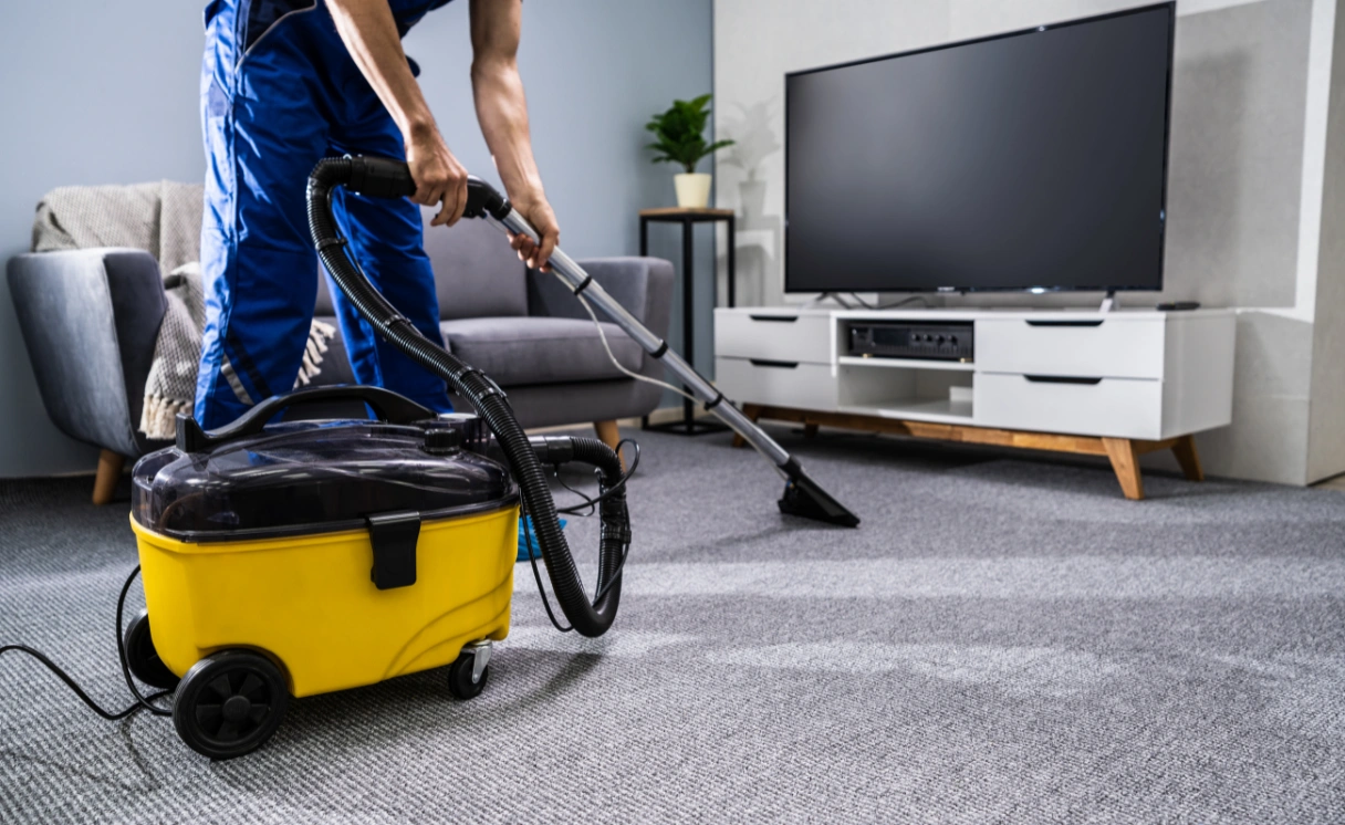 Extract Rug Cleaning Safety Beach Contact Office